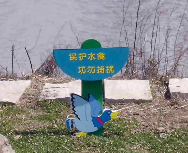 ˮ�ݱ�����ʾ��